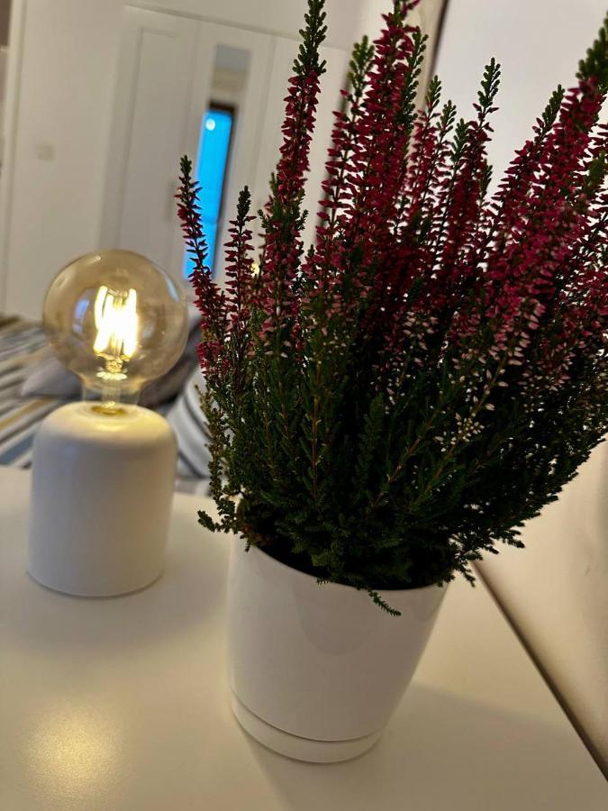 Apartament Centrum, Miejsce Parkingowe W Cenie Varsovie Extérieur photo